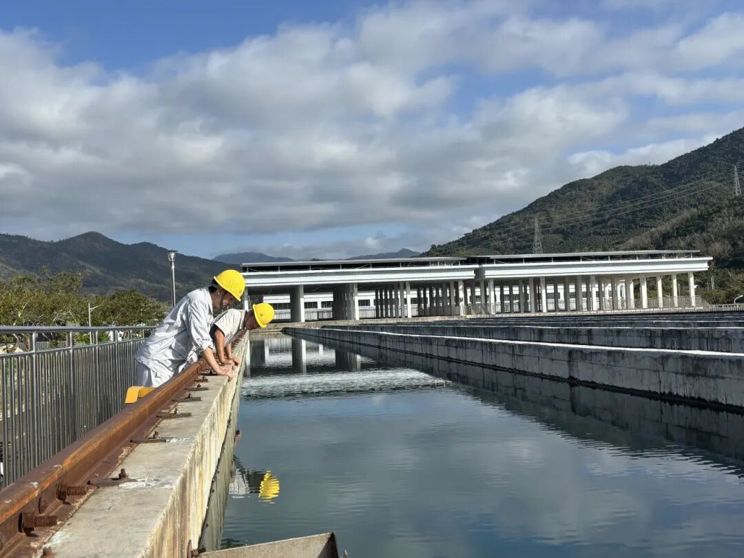 實干開新局  三亞環(huán)農(nóng)集團吹響全面復工復產(chǎn)“集