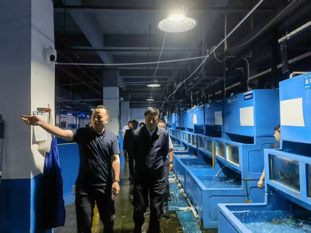 劉耿調(diào)研三亞環(huán)農(nóng)海鮮集采分銷中心運(yùn)營情況 