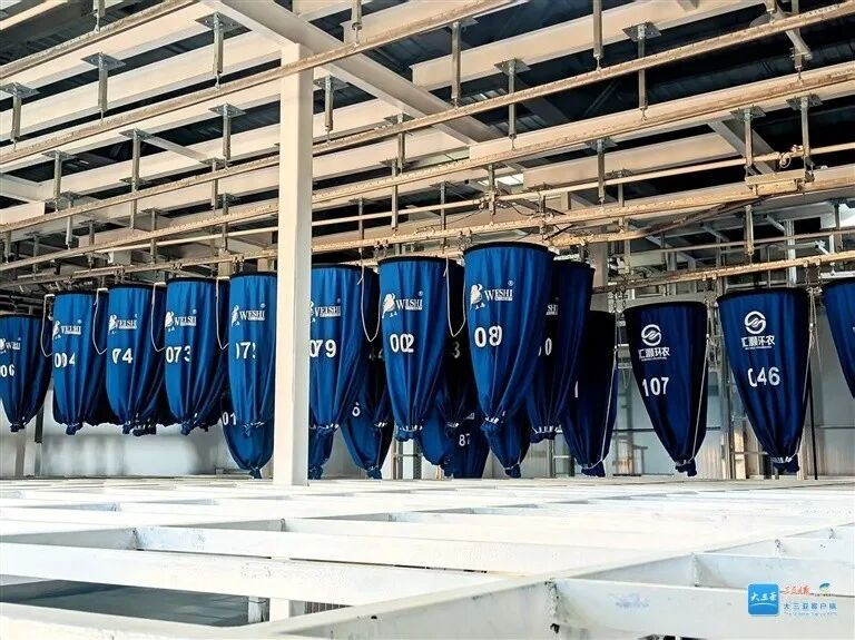 智慧賦能 三亞環(huán)農(nóng)布草洗滌園邁入實(shí)質(zhì)運(yùn)營(yíng)階段